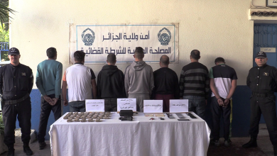 Photo of Algiers: dismantling of a criminal organisation specialising in drug trafficking