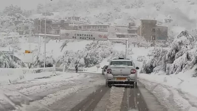 صورة نشرية خاصة: تساقط أمطار وثلوج بعدد من ولايات وسط وشرق البلاد