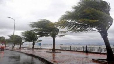 Photo de Des vents forts souffleront vendredi sur certaines wilayas du pays