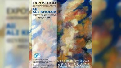 Photo of Artworks of the artist Ali-Khodja Ali exhibited in Algiers