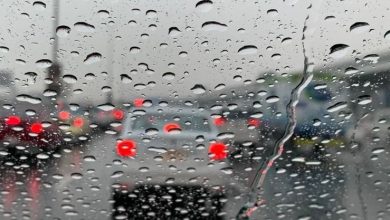 صورة نشرية خاصة: أمطار رعدية مرتقبة غدا السبت على عدة ولايات بشرق البلاد