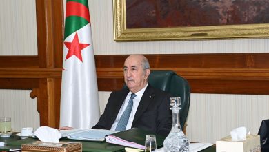 صورة رئيس الجمهورية: الجزائر تواصل جهودها لمساندة دول الجوار في حربها ضد الإرهاب