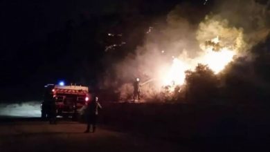 صورة الشلف: اندلاع حريق بغابة سيدي مروان بتنس