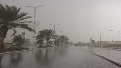 صورة نشرية خاصة: أمطار رعدية مرتقبة على عدد من ولايات الجنوب يوم غد الجمعة