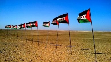 Photo de Décolonisation : l’ONU veut « une action accélérée », le Sahara occidental à l’ordre du jour du C24