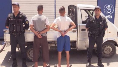 صورة أمن ولاية الجزائر: الإطاحة بشبكة إجرامية مختصة في سرقة الكوابل
