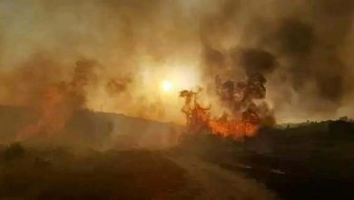 صورة وزارة الداخلية: تسجيل نشوب 97 حريقا عبر 16 ولاية