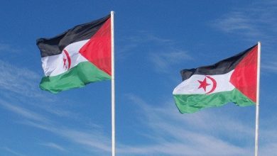 صورة الصحراء الغربية: جبهة البوليساريو تؤكد على أهمية التضامن الدولي لتطبيق الشرعية الدولية وإنهاء الاحتلال