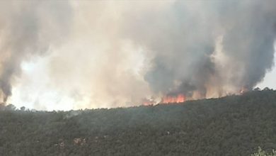 صورة الشلف: حريق يتسبب في إتلاف 30 هكتارا من الغطاء الغابي بسيدي عكاشة