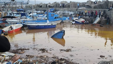 صورة  تيبازة : أكثر من 700 صياد معني بالاستفادة من المنحة الاستثنائية للبحارة المتضررين من الفيضانات