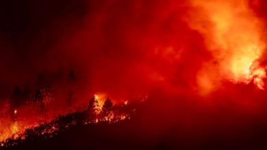 صورة إسبانيا: إجلاء نحو 26 ألف شخص مع توسع نطاق حريق تينيريفي