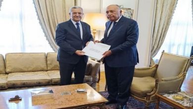 صورة سفير الجزائر بالقاهرة يستقبل من طرف وزير الخارجية المصري
