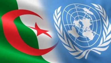 صورة منظمة الأمم المتحدة تشيد بإرادة الجزائر في ترقية حقوق الانسان