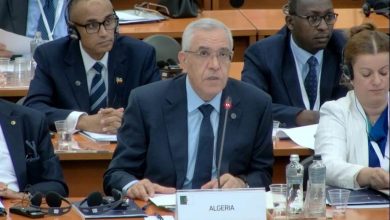 صورة طبي: الجزائر تولي أهمية كبيرة لتعزيز أجهزة إنفاذ القانون في إطار احترام مبادئ حقوق الإنسان 