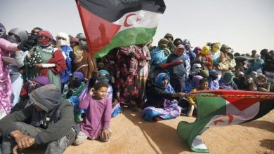 صورة جبهة البوليساريو تؤكد تصميم الشعب الصحراوي على تصعيد كفاحه لبلوغ أهدافه في الحرية والاستقلال