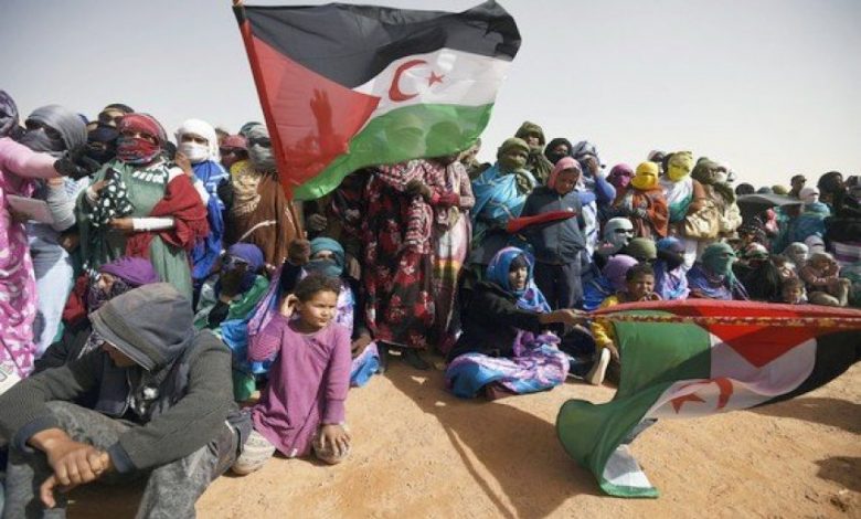 صورة جبهة البوليساريو تؤكد تصميم الشعب الصحراوي على تصعيد كفاحه لبلوغ أهدافه في الحرية والاستقلال