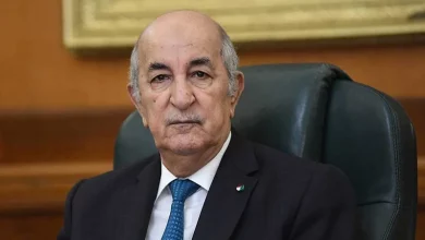 صورة رئيس الجمهورية يستعرض التجربة الجزائرية في مجال التنمية الاقتصادية والاجتماعية