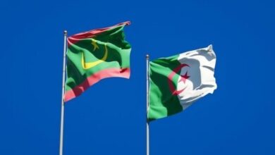 صورة الجزائر/موريتانيا: مشاريع تكاملية واعدة لبناء شراكة إستراتيجية