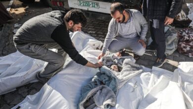 صورة “اليونيسيف” تؤكد مقتل 13750 طفلا فلسطينيا منذ بدء عدوان الاحتلال الصهيوني على غزة