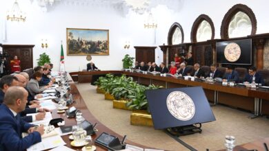 صورة رئيس الجمهورية يترأس اجتماعا لمجلس الوزراء 