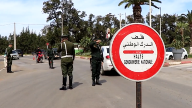 صورة الدرك الوطني ينظم حملة تحسيسية حول السلامة المرورية عبر نقاط المراقبة  والسدود الثابتة بإقليم ولاية الجزائر