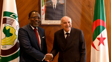 صورة وزير الشؤون الخارجية يستقبل رئيس مفوضية المجموعة الاقتصادية لدول غرب إفريقيا