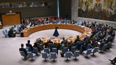 صورة مجلس الأمن يخفق في تمرير مشروع قرار متعلق بانضمام دولة فلسطين إلى الأمم المتحدة