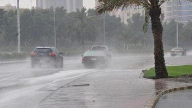 صورة تساقط أمطار رعدية على عدة ولايات من الوطن