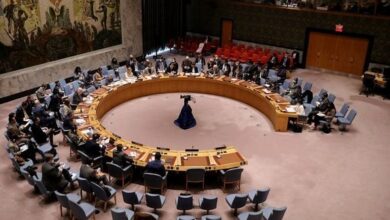 صورة فلسطين تدعو مجلس الأمن لاستخدام الفصل السابع من ميثاق الأمم المتحدة لإجبار الكيان الصهيوني على وقف عدوانه
