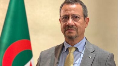 صورة وزير الأشغال العمومية: الجزائر مؤهلة أكثر من أي وقت مضى لتعزيز حضورها الاقتصادي اقليميا وقاريا