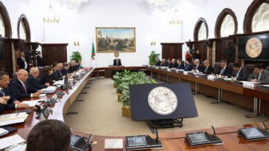 صورة رئيس الجمهورية يترأس اجتماعا لمجلس الوزراء
